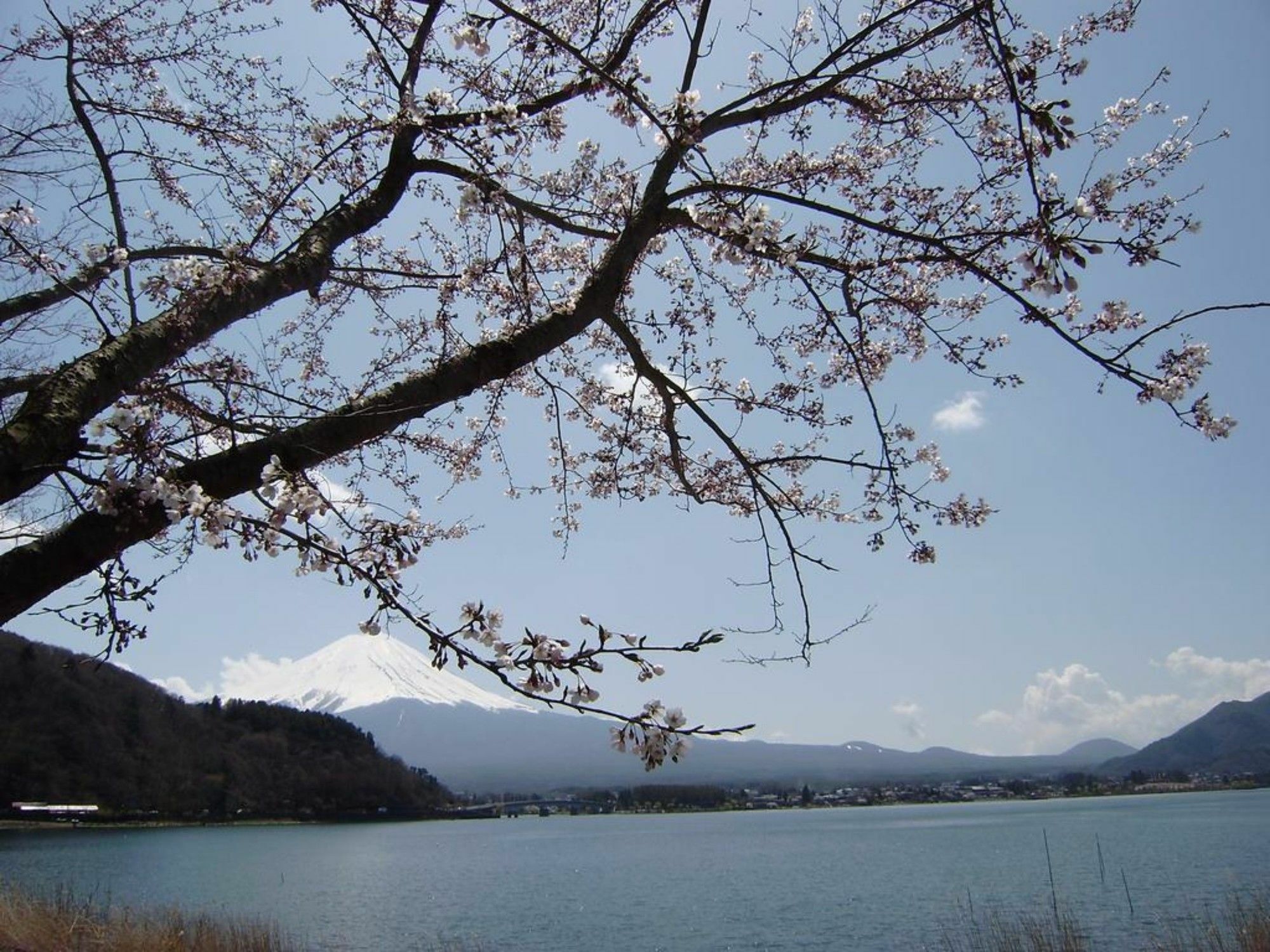 河口湖羽扇豆别墅 富士河口湖 外观 照片